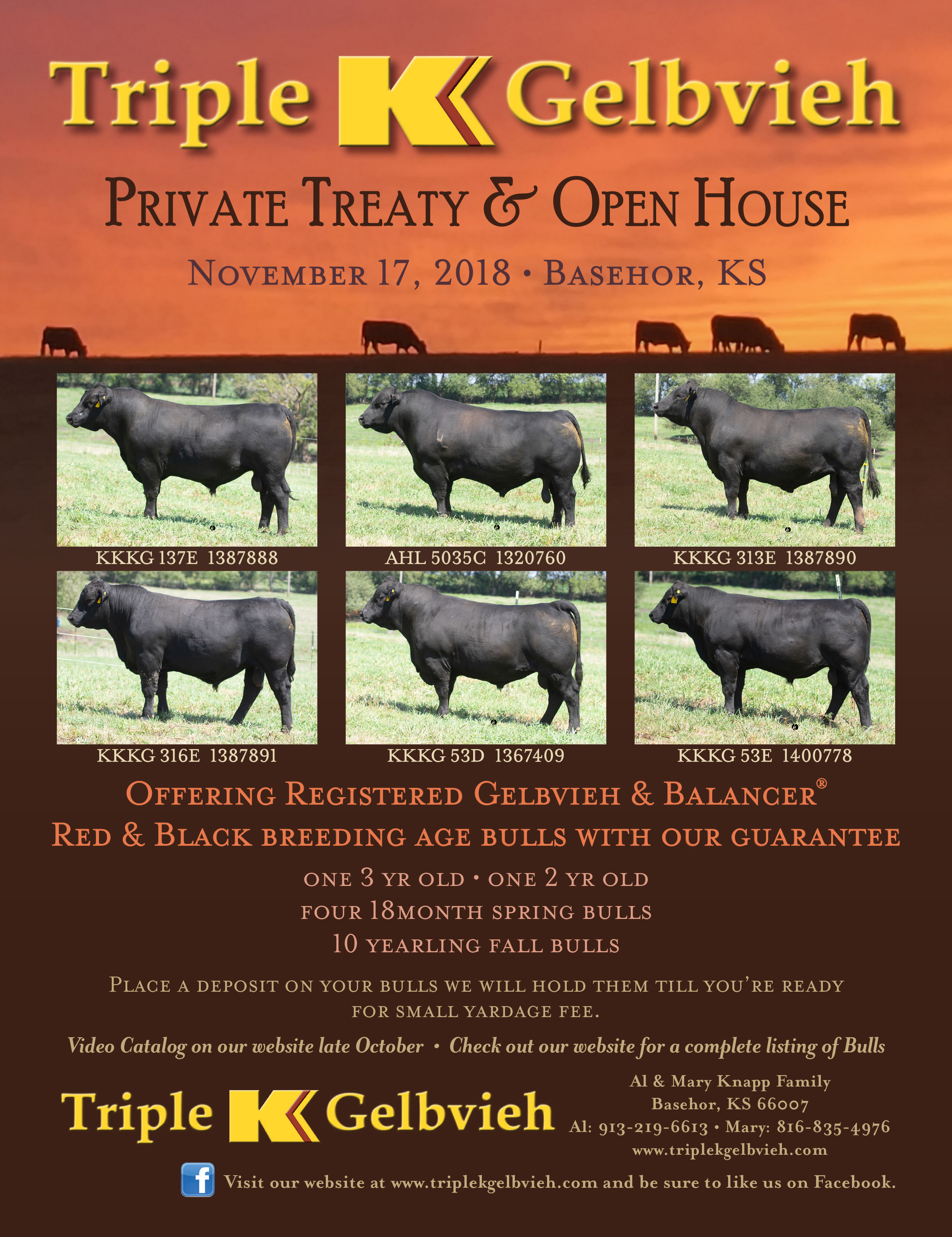Triple K Private Treaty Sale and Open House on November 17, 2018